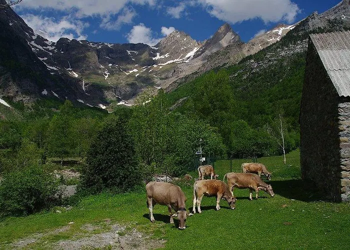 Campingplads Pena Montanesa 3*